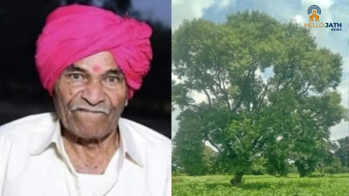 1 कोटींच्या झाडाच्या प्रकरणाला नवं वळण! शेतकरी केशव शिंदे यांचे निधन; मोबदल्याच्या पैशांवर आता काय होणार?